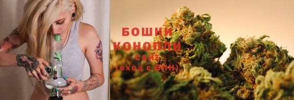 прущие грибы Балахна