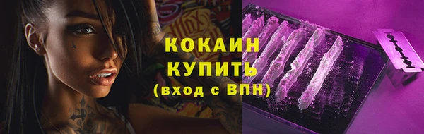 прущие грибы Балахна