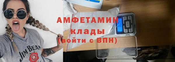 прущие грибы Балахна