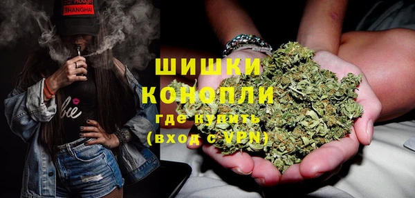 прущие грибы Балахна