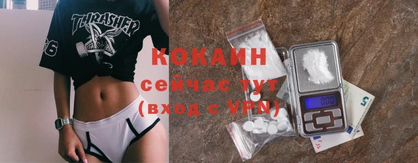прущие грибы Балахна