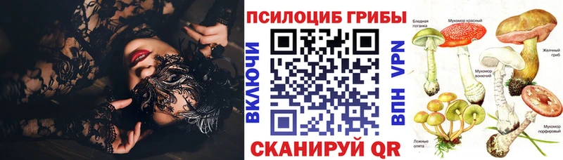 хочу   Нижняя Салда  Галлюциногенные грибы Magic Shrooms 