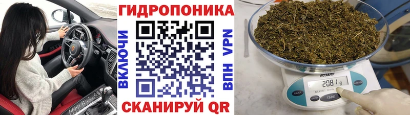 кракен зеркало  Нижняя Салда  МАРИХУАНА план  где найти наркотики 